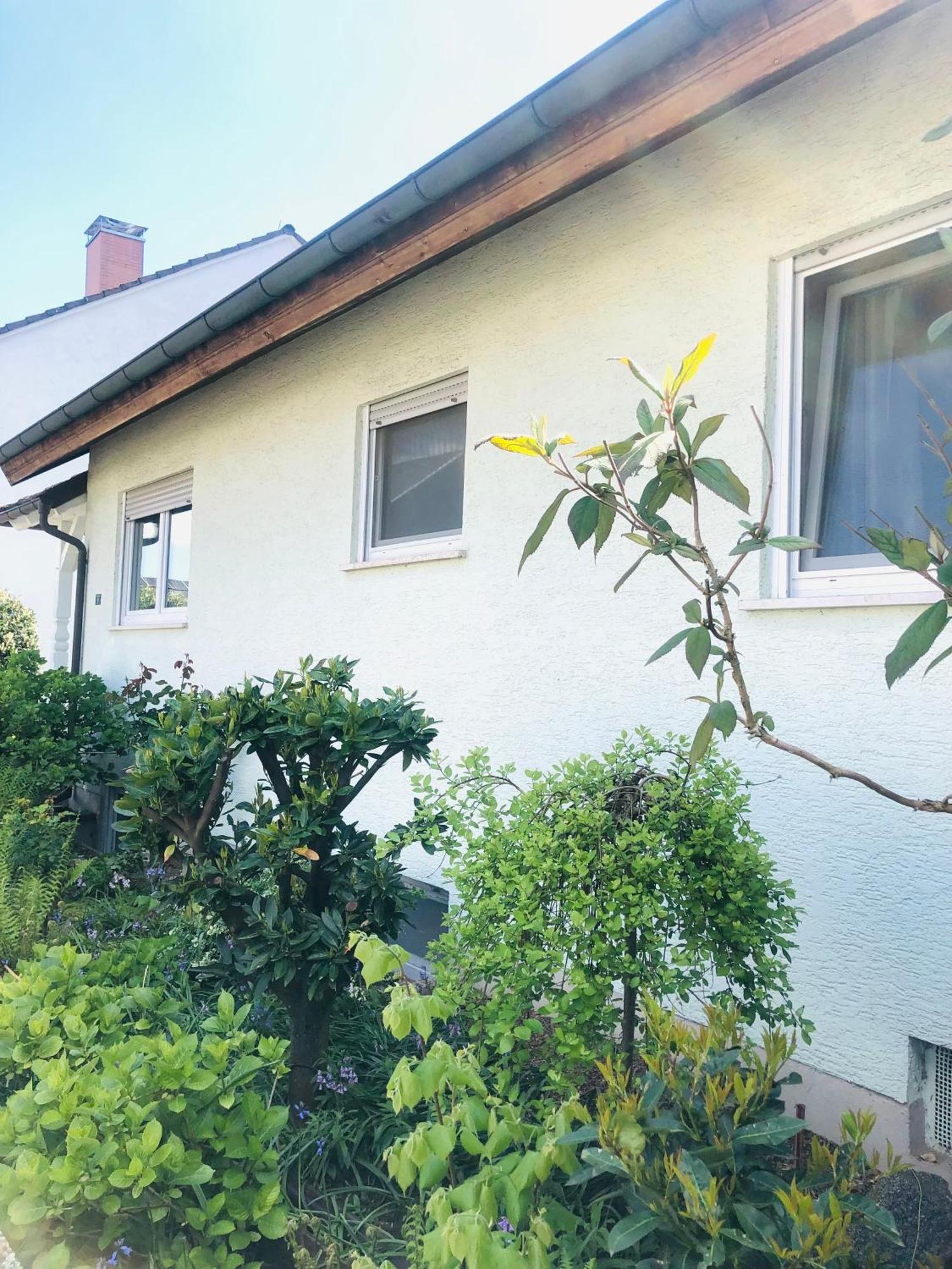 Freckenfeld Ferienwohnung Feldmann מראה חיצוני תמונה